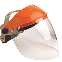 Brow Guard with Visor