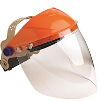 Brow Guard with Visor - Clear