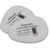 Maxiguard P2 Particulate Filter (10pcs Pack) R7N11-P2