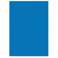 Laser Labels (210mm × 295.3mm) 1UP per page  (100 Sheets/100 Labels)