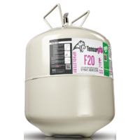 F20 Quick-Dry Foam & Upholstery 22 Ltr