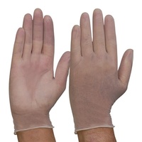 Pro Clear Vinyl Gloves Powder Free - Large