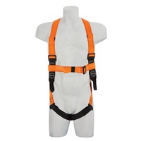 Basic Roofers Kit