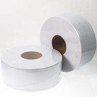 Caprice's Green 2 Ply 300mtr Jumbo Toilet Tissue (300CR)