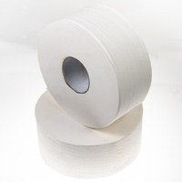 Caprice Jumbo 2 ply Toilet Tissue 300Mtr (300CW)